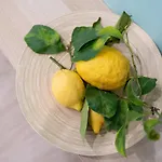 Viva Sorrento