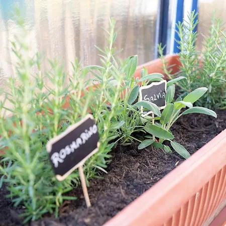 Viva Appartement Sorrente