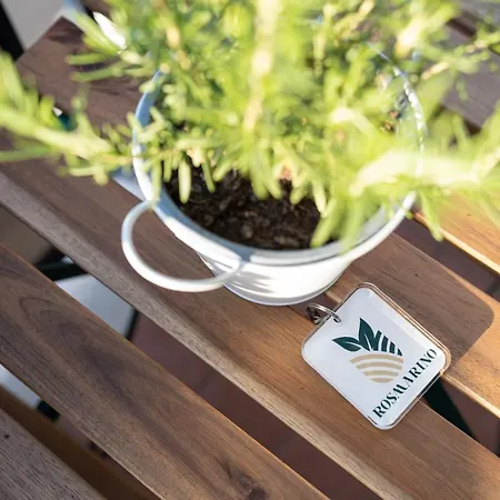 Viva Appartement Sorrente