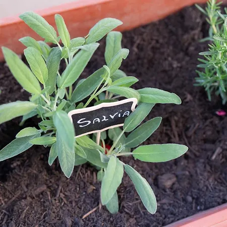 Appartement Viva Sorrente