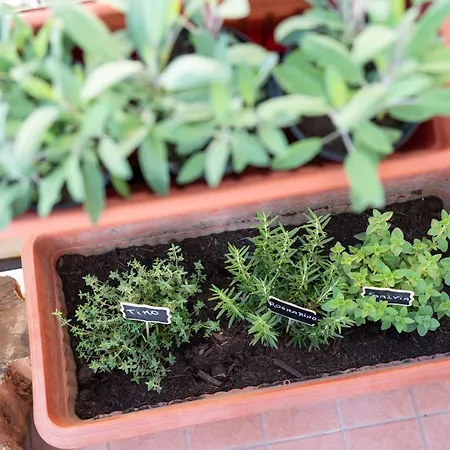 Viva Appartement Sorrente