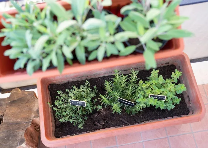 Viva Lägenhet Sorrento